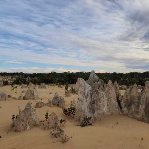 The Pinnacles Desert, Australia