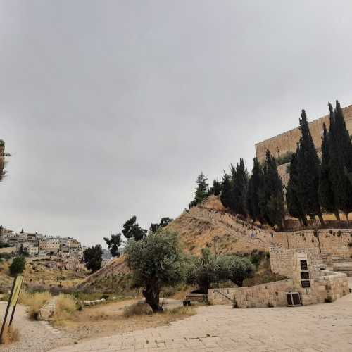 Tomb Of The Prophets, Палестина