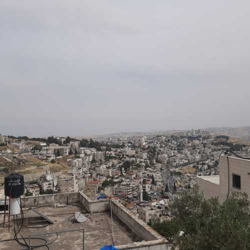 Mount of Olives, Palestine