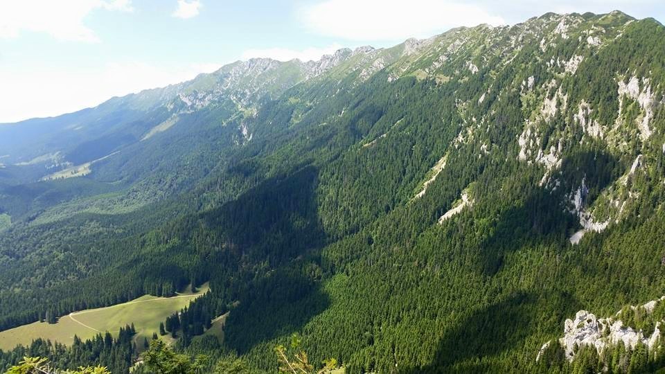 Piatra Craiului