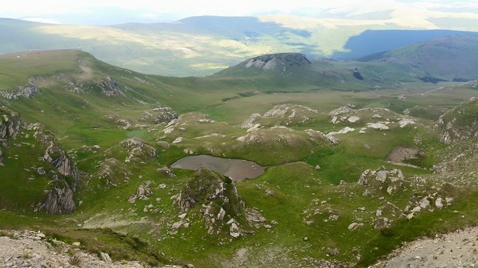 Transalpina