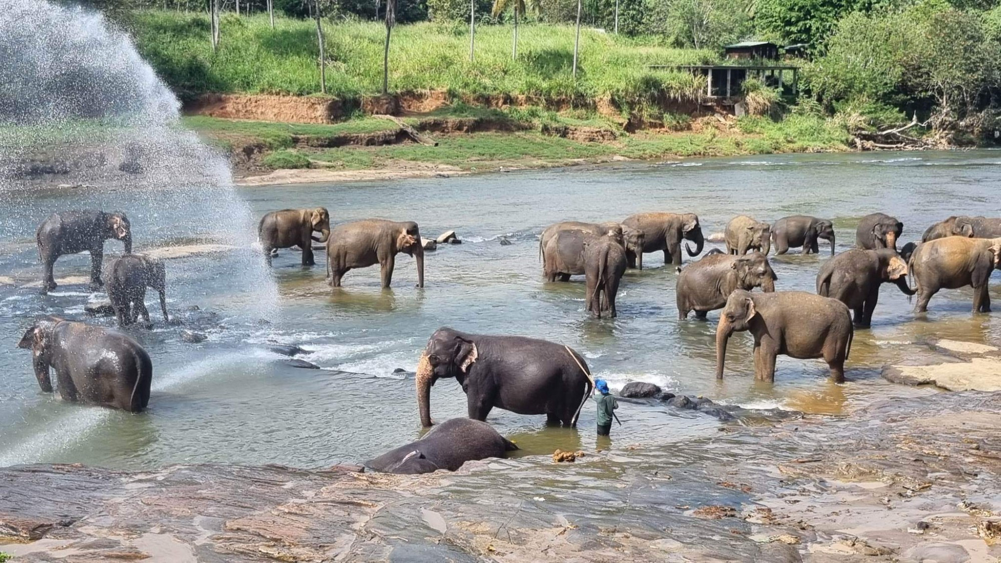 Sri Lanka