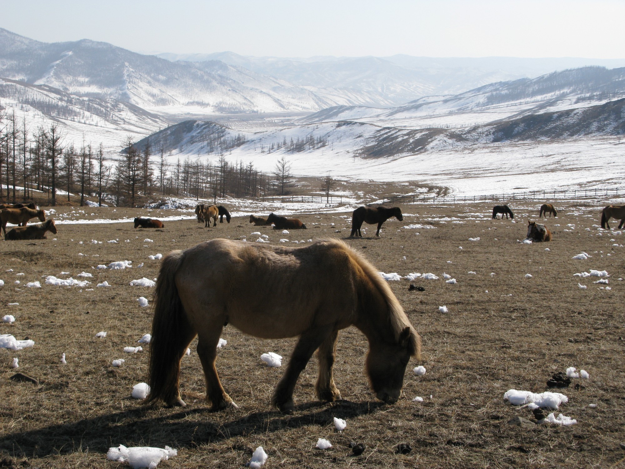 Mongolia