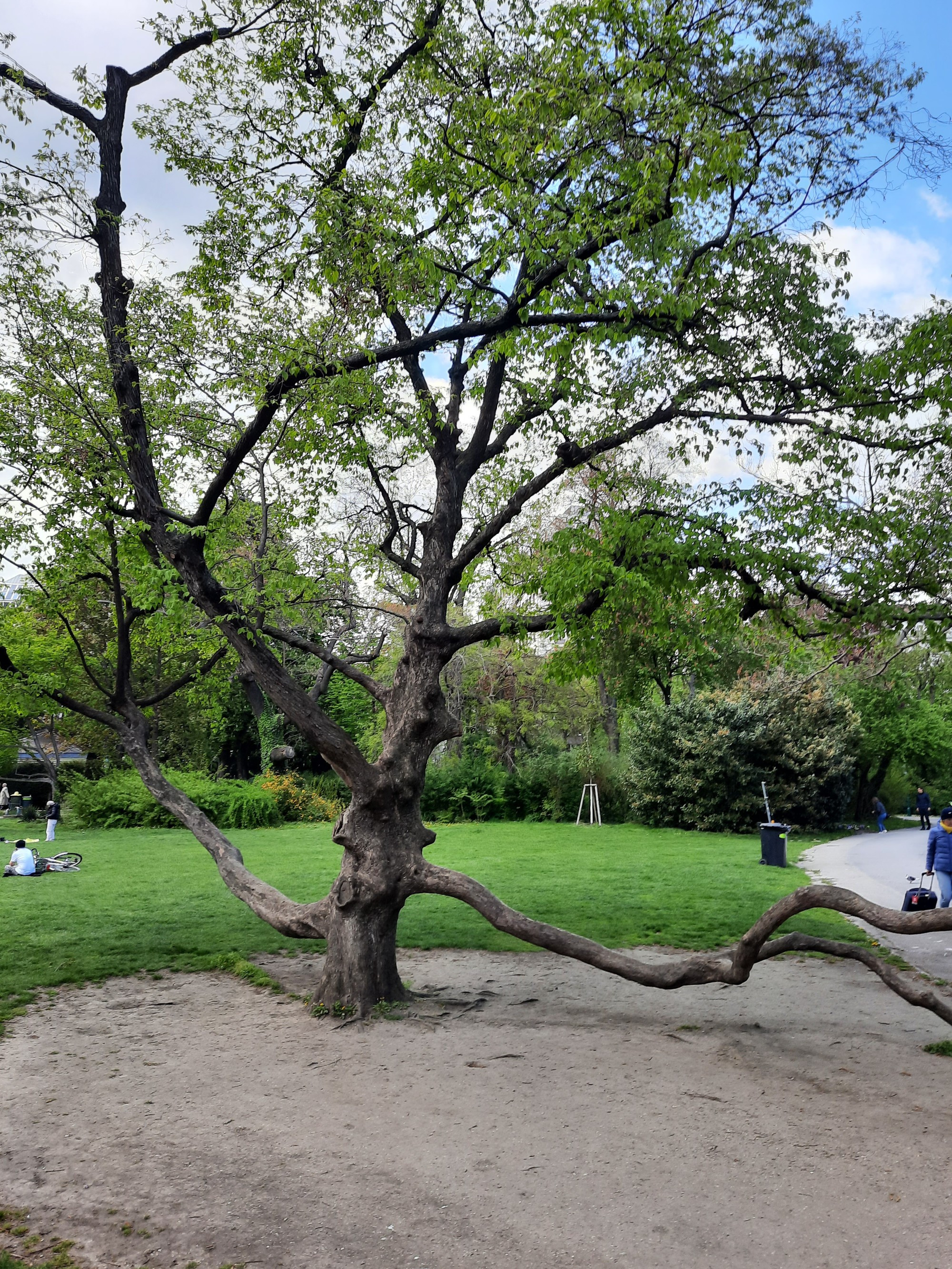 Stadtpark, Австрия