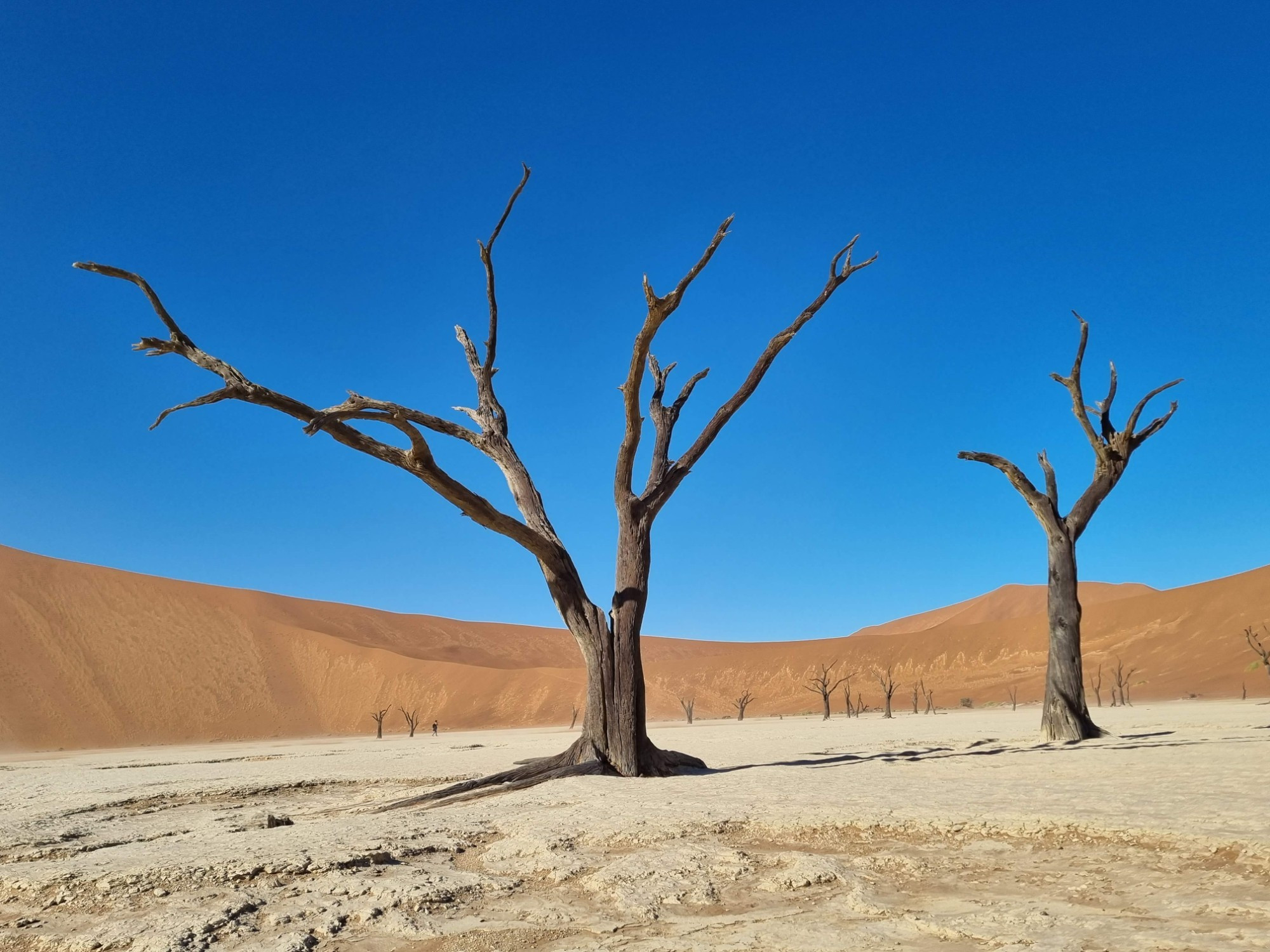 Deadvlei, Namibia