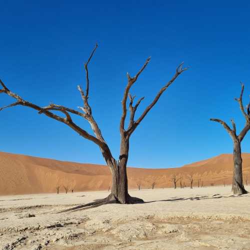 Deadvlei, Намибия