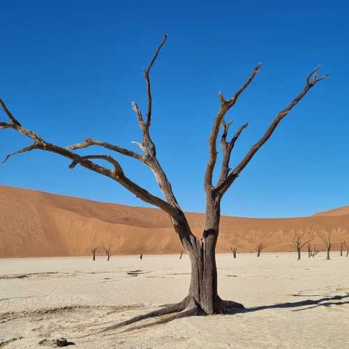 Deadvlei, Намибия