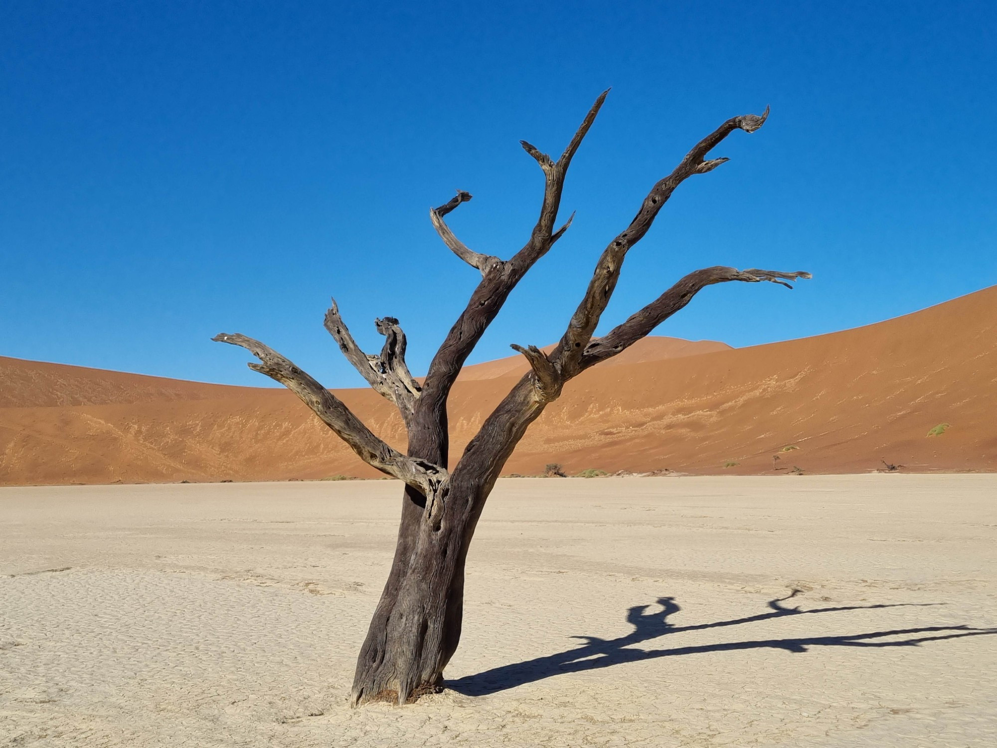 Deadvlei, Намибия