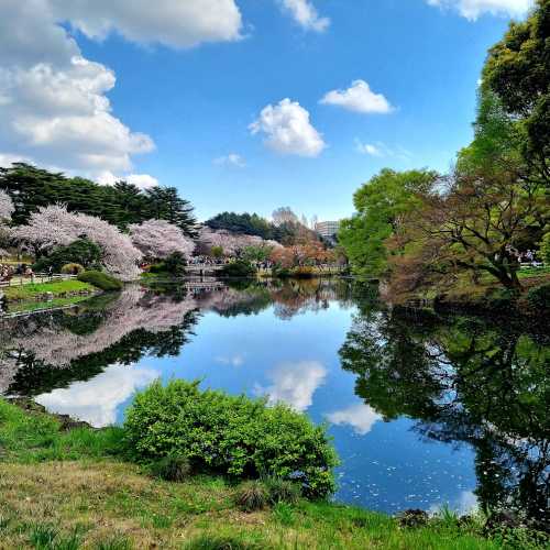 Shinjuku Gyoen National Garden, Япония
