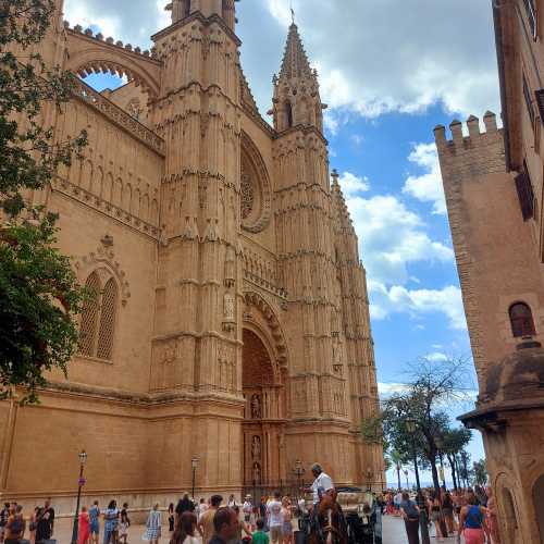 Palma Cathedral