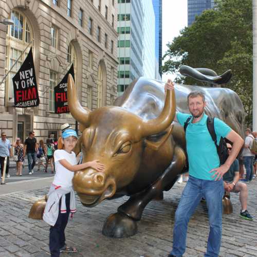 Charging Bull, United States