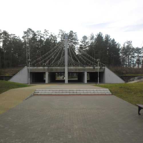 Висагинас, Литва