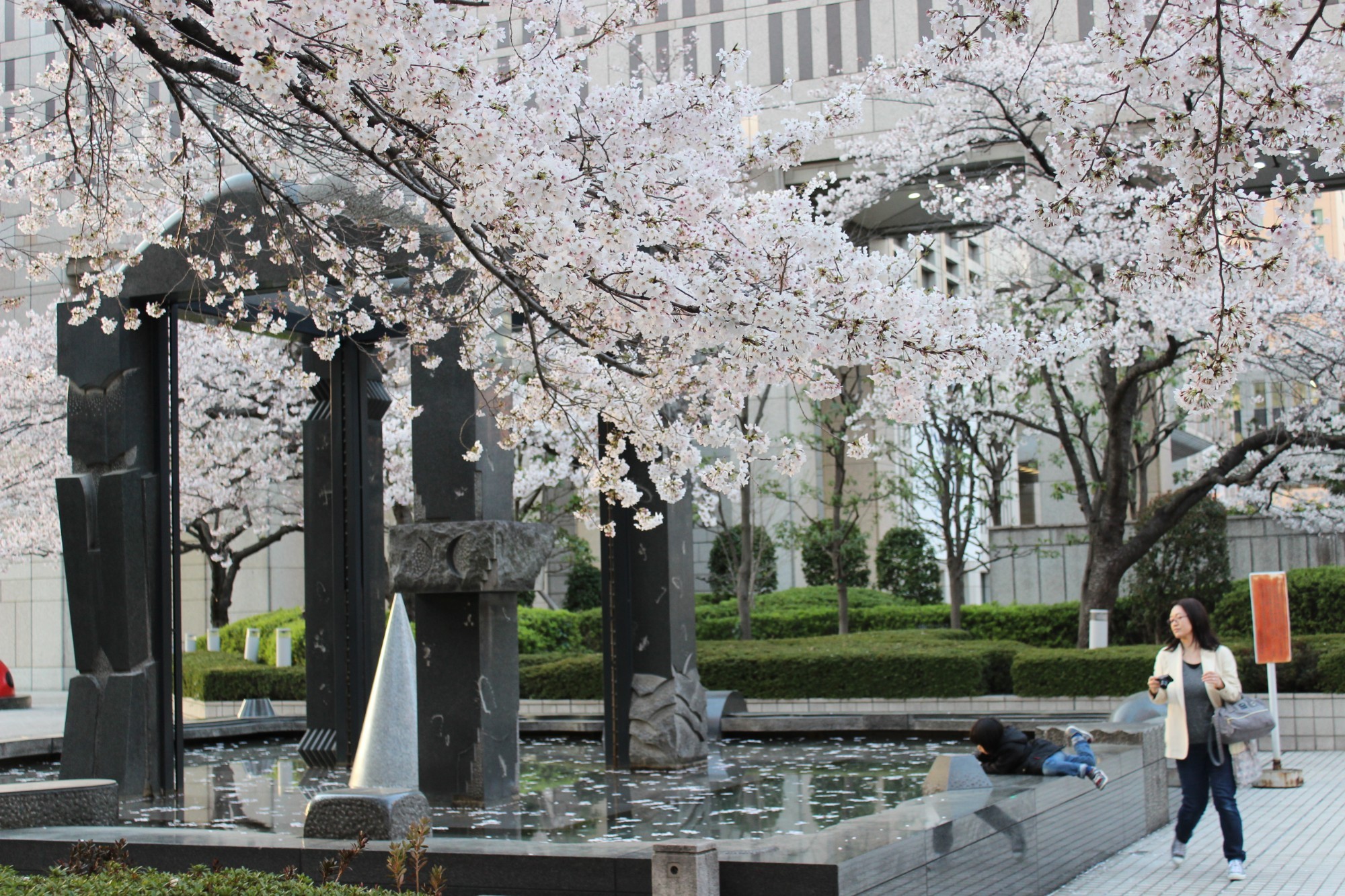 Sakura season, Tokyo