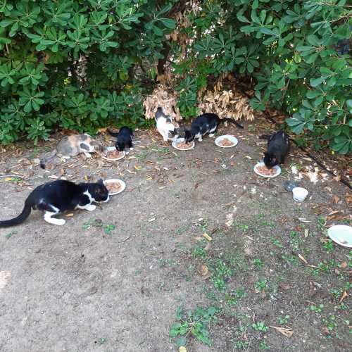 Camping Prinou, Greece