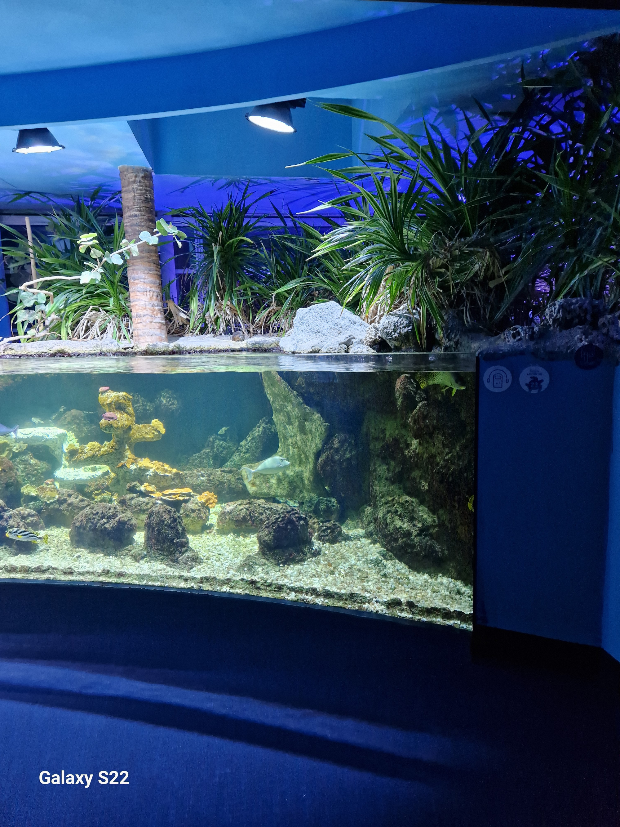 Aquarium La Rochelle, Франция