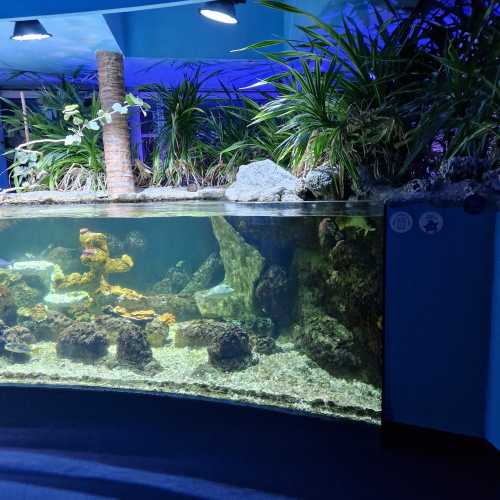 Aquarium La Rochelle, Франция