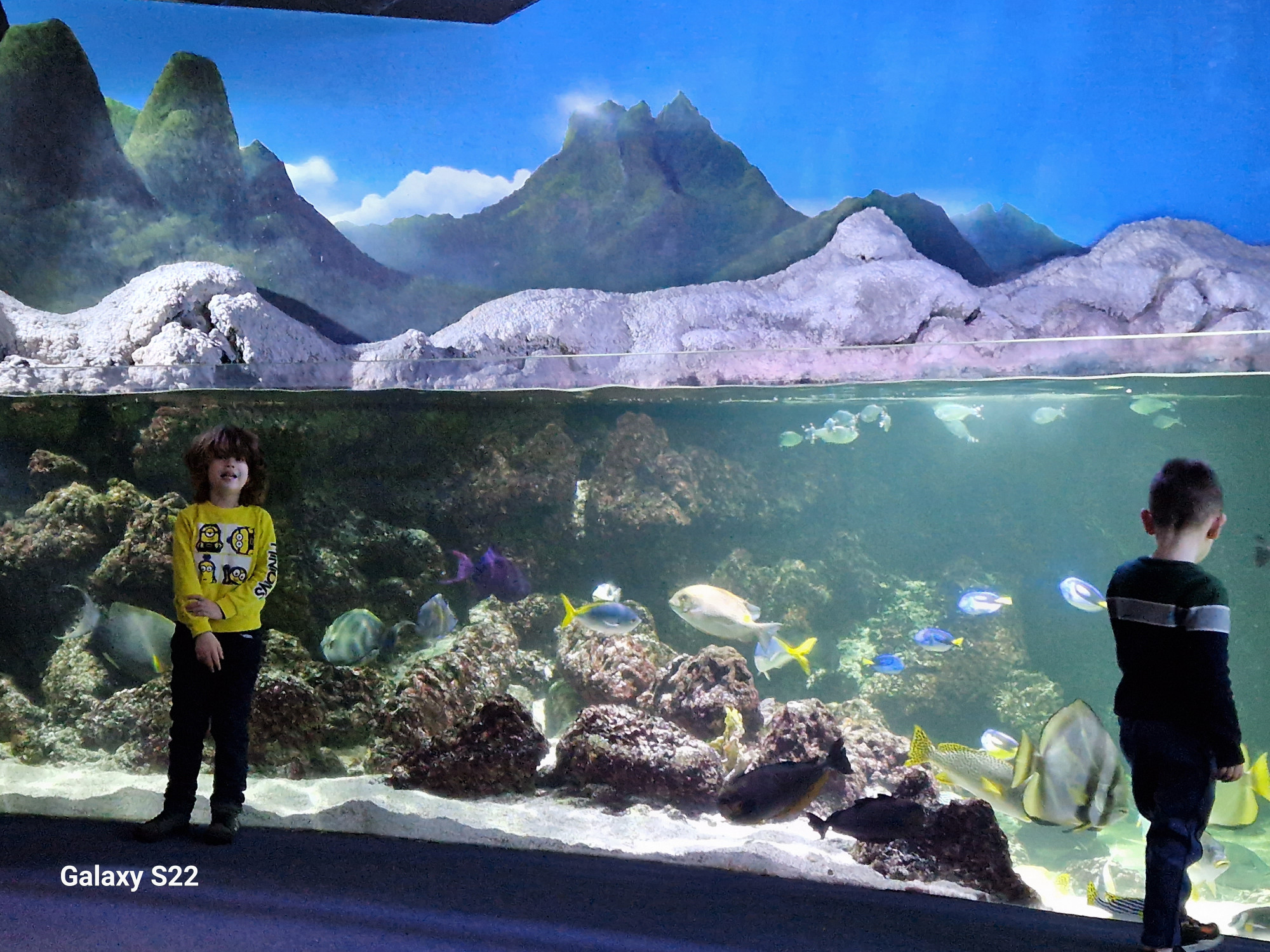 Aquarium La Rochelle, France