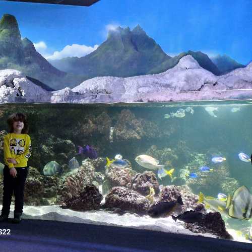 Aquarium La Rochelle, France