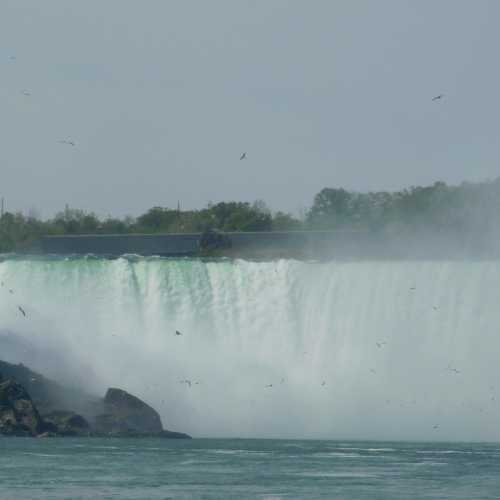 Niagara Falls, 