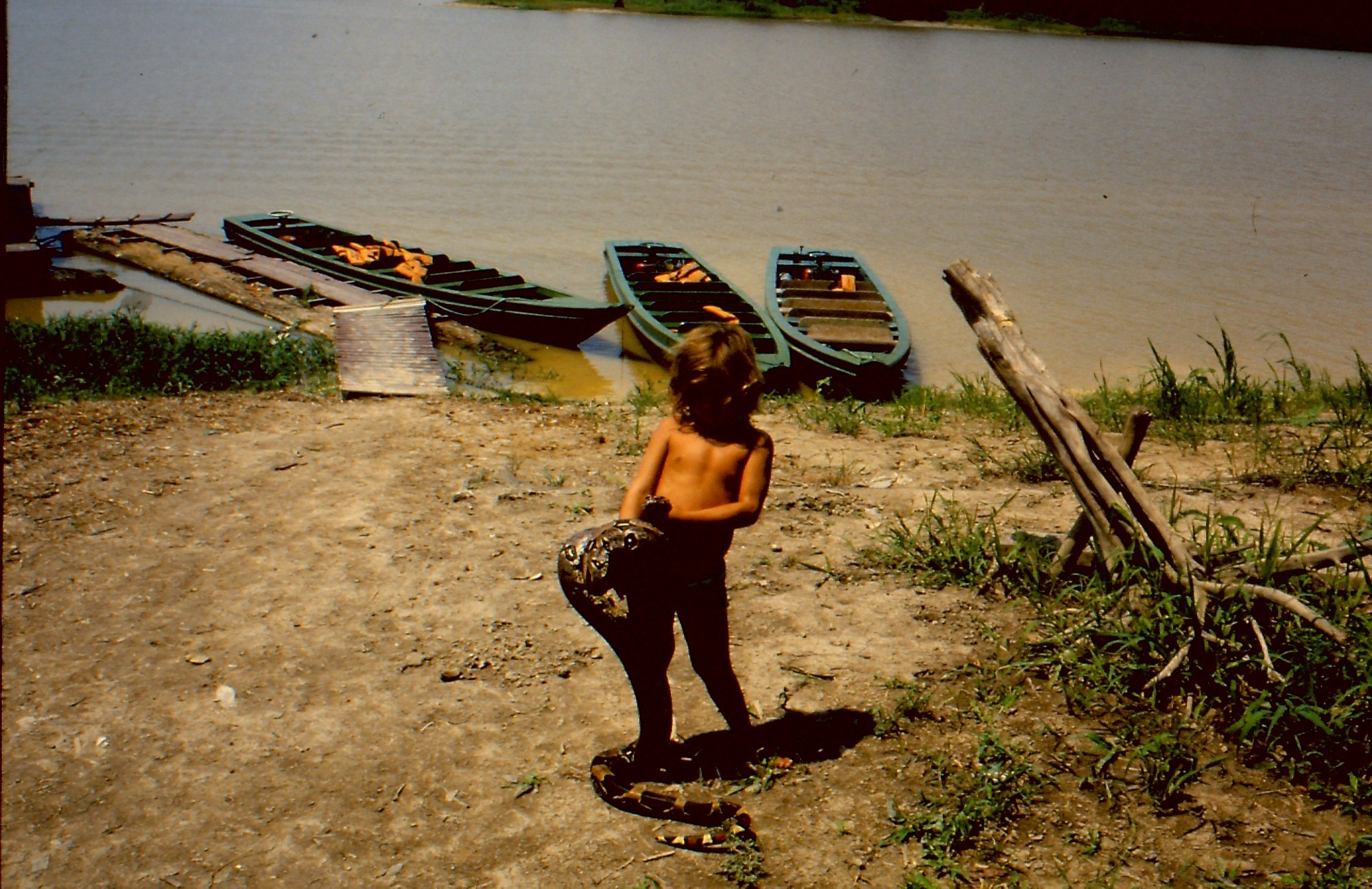 Amazonas. The baby and the snake.
