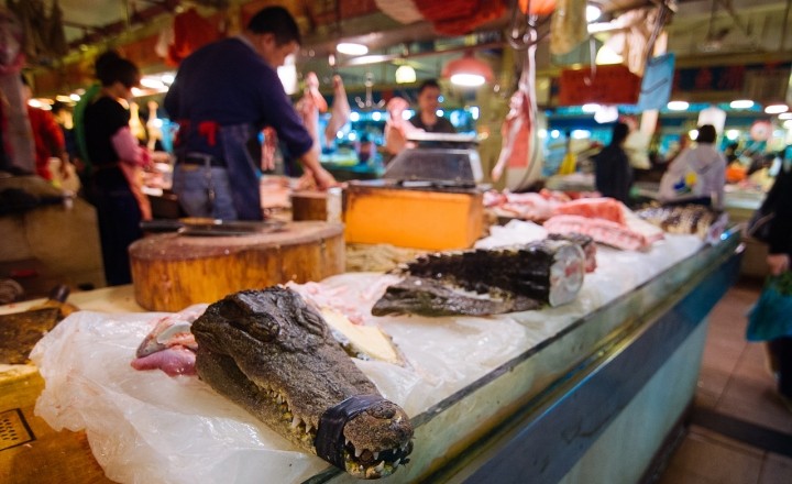 Крокодила отведать не хотите ли? Обычный рыночек(!) в локальном районе города. Гуанчжоу. Китай.